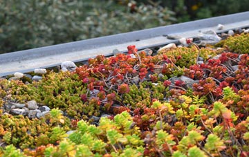 the cost of Haconby green roof installation