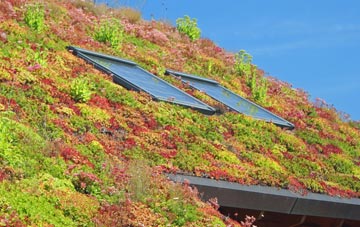 Haconby living roof systems