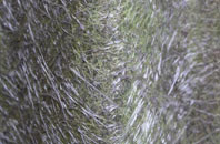 Haconby fibreglass roof work